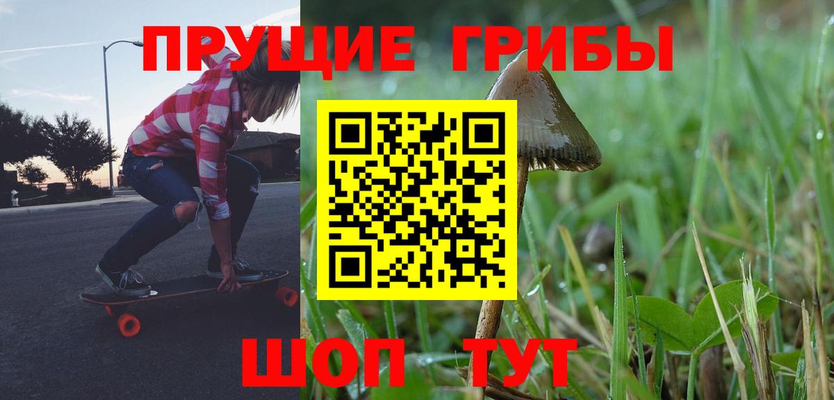 Псилоцибиновые грибы Psilocybe Йошкар-Ола
